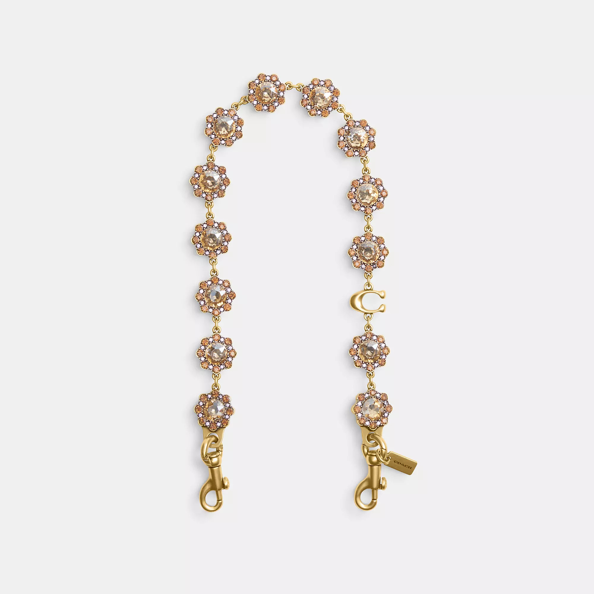 Short Jewelry Chain Strap | Coach (US)