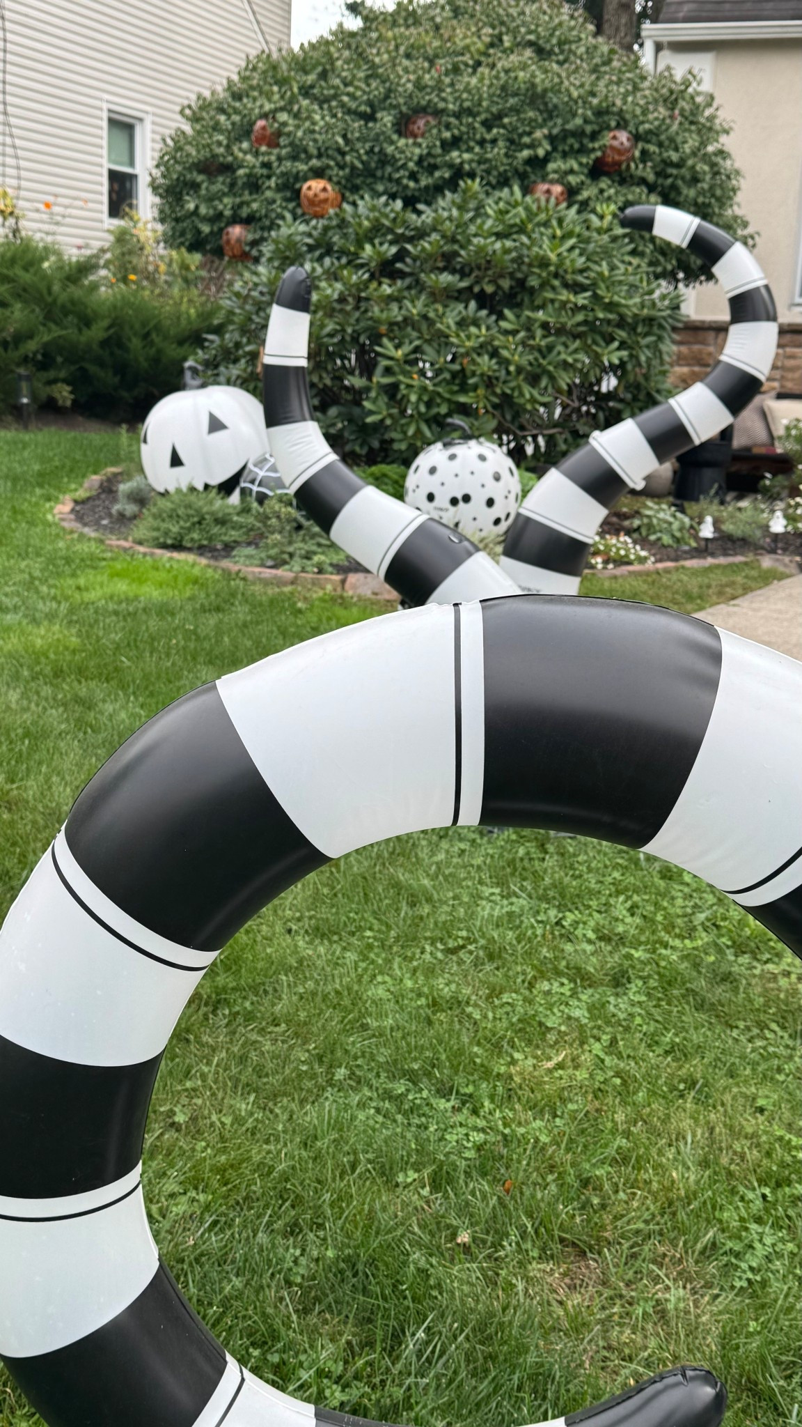 The most fun and unique Halloween outdoor decor! 
#halloweendecor

#LTKSeasonal #LTKHalloween