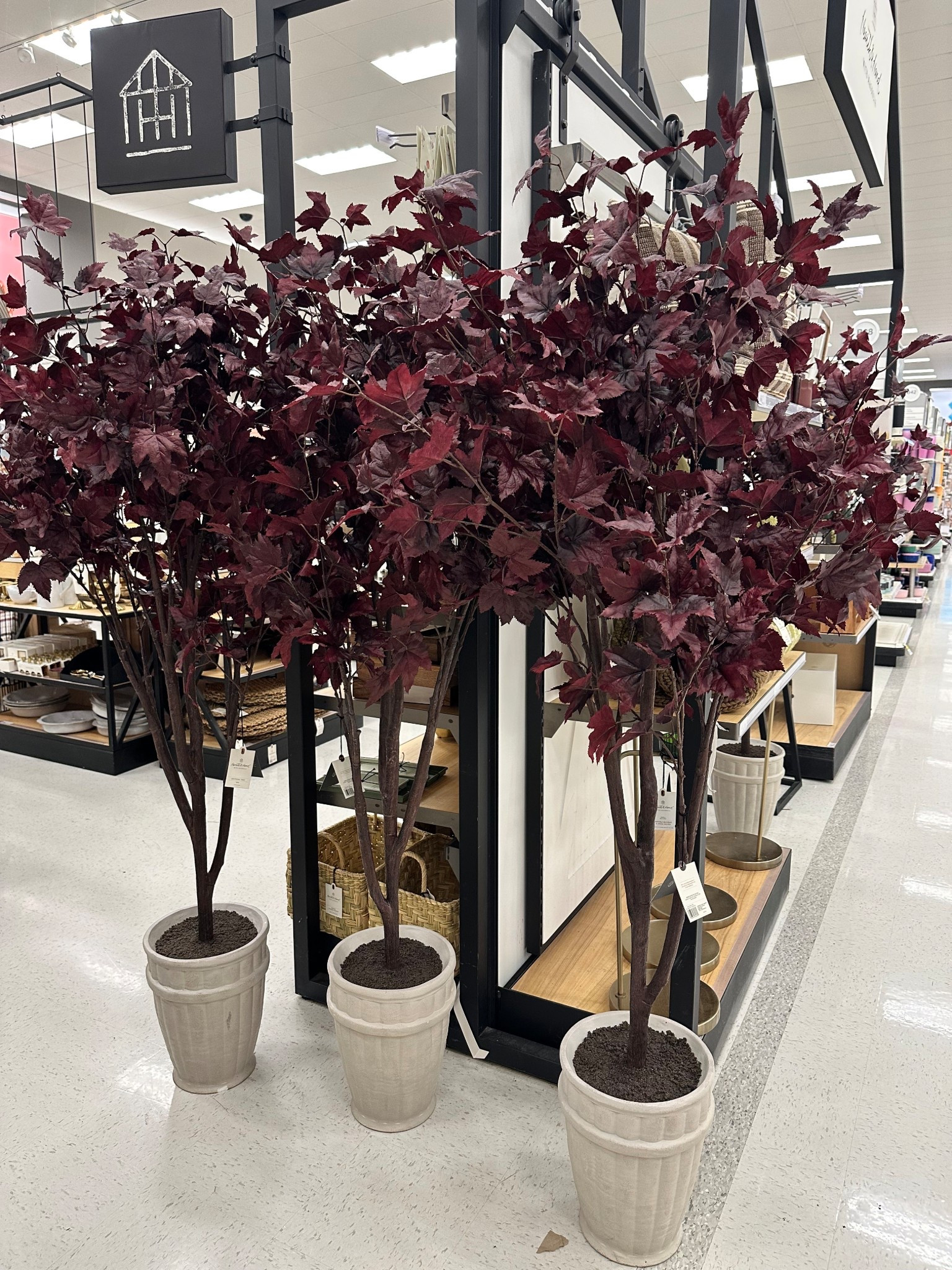 Hearth & Hand by Magnolia Plum faux tree 

#LTKHome #LTKStyleTip #LTKSeasonal