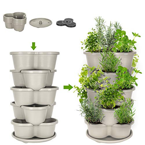 Amazing Creation Stackable Planter Vertical Garden for Growing Strawberries, Herbs, Flowers, Vegetab | Amazon (US)