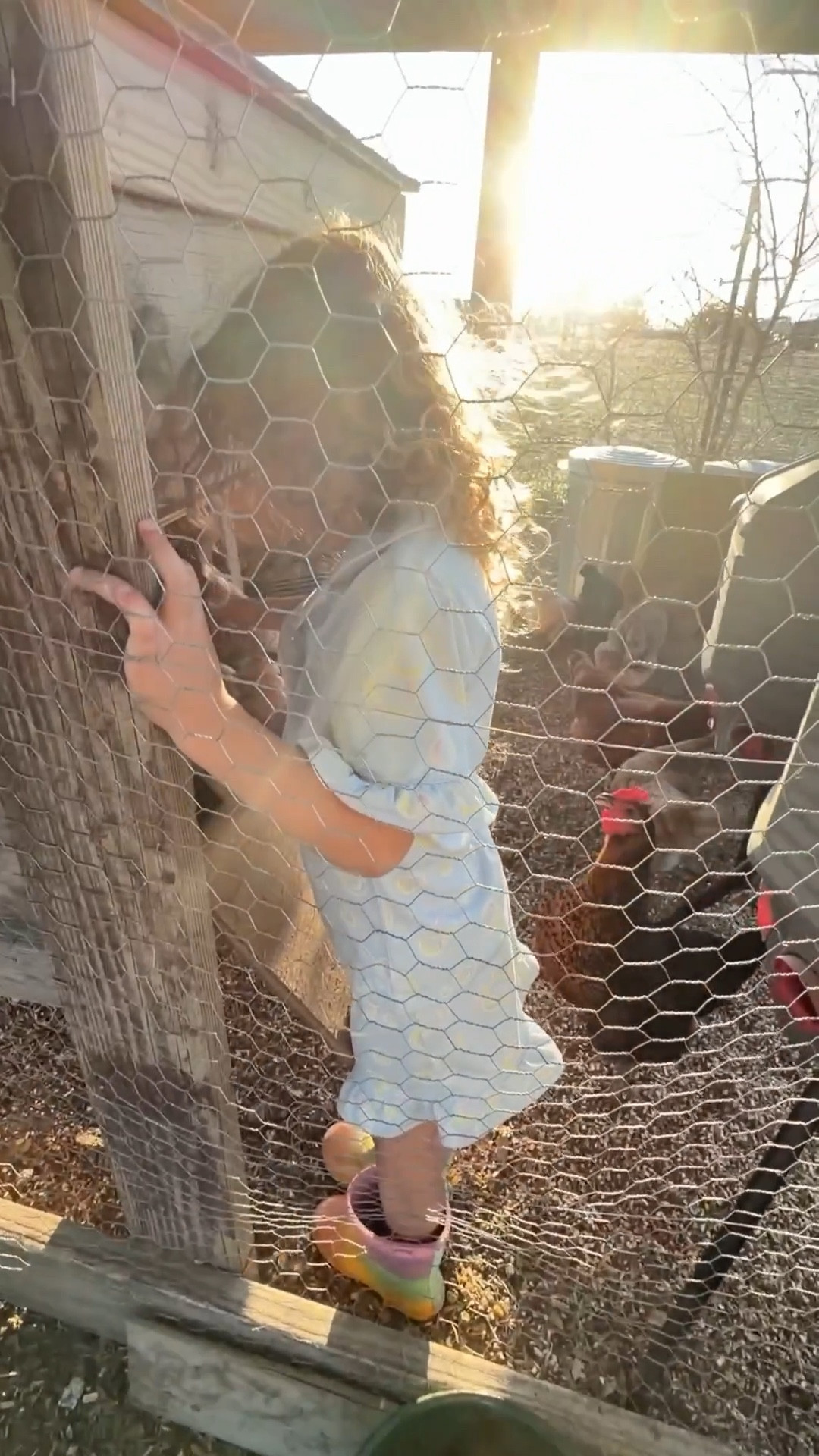 Around here, we collect eggs from the coop in pajamas and rainbow rain boots… 🌈🥚

Tiny accidental farm girl reporting for egg collection duty at the coop. 🫡 Lol these are thes good ol’ days. 

These hens aren’t called “Easter Eggers” for nothing- do you think they know Easter is this weekend because they’ve been laying like crazy!! I think we collected around five cartons of eggs here. 

Fun fact: tthese backyard chickens of ours are called Easter Eggers because they lay different colored eggs so you get a rainbow in every carton. Prettiest eggs you ever did see. 

What are we gonna do about that Josie girl though? 

#LTKKids #LTKdayinmylife #LTKmomlife