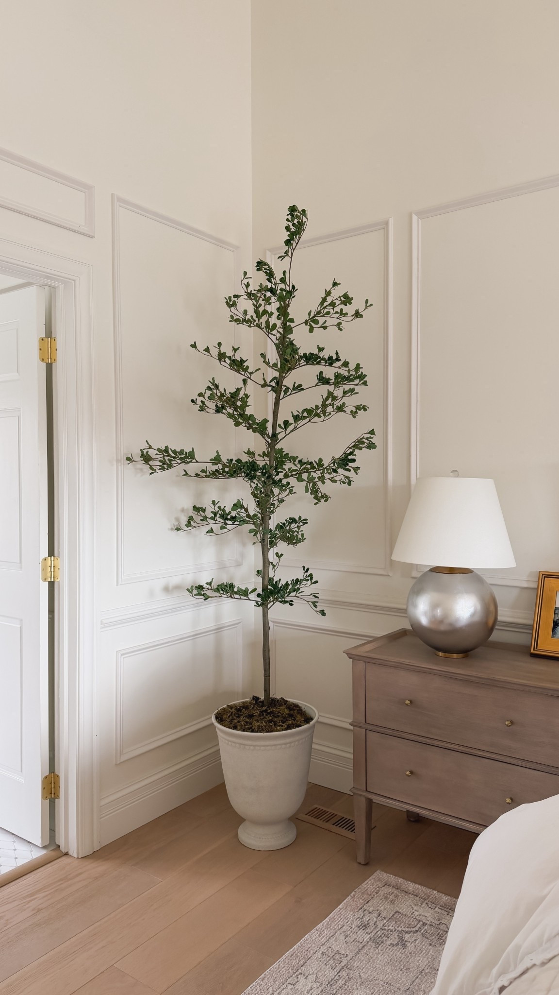 This faux olive tree is another amazing Amazon find! A great option for a popular designer look but for much much less! 

#LTKHome #LTKSeasonal #LTKSaleAlert