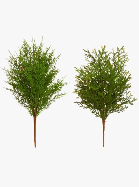 19" Set of 2 Cedar Picks | Amazon (US)