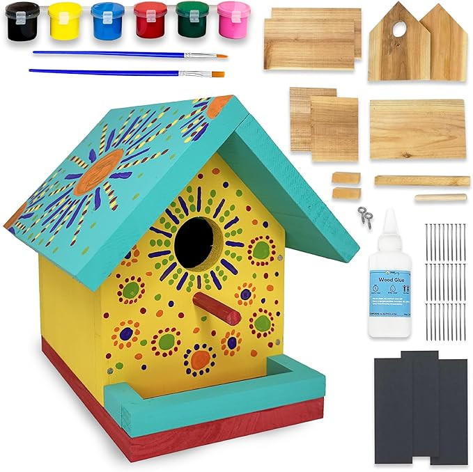 Jr Bird House Kit | DIY Birdhouse Kits Made of Cedar Wood for Outdoors | Birdhouse Kits for Kids ... | Amazon (US)