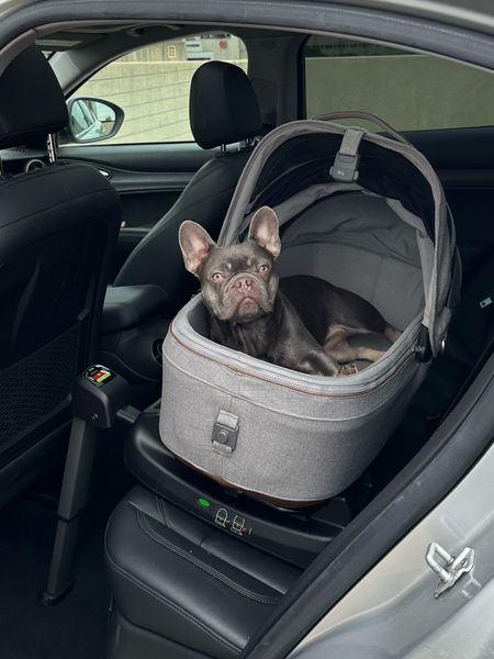 New TavoPets Pet Protection System created by the Nuna baby team. Bali is 25 pound French bulldog so the medium ridged set is best for her weight but she could physically fit in the small. I love the peace of mind this safe car seat and car seat base give me when she’s on the road with us. Available alone or as a part of a set with dog stroller component. Linking from Dillards  

#LTKfamily #LTKtravel #LTKGiftGuide