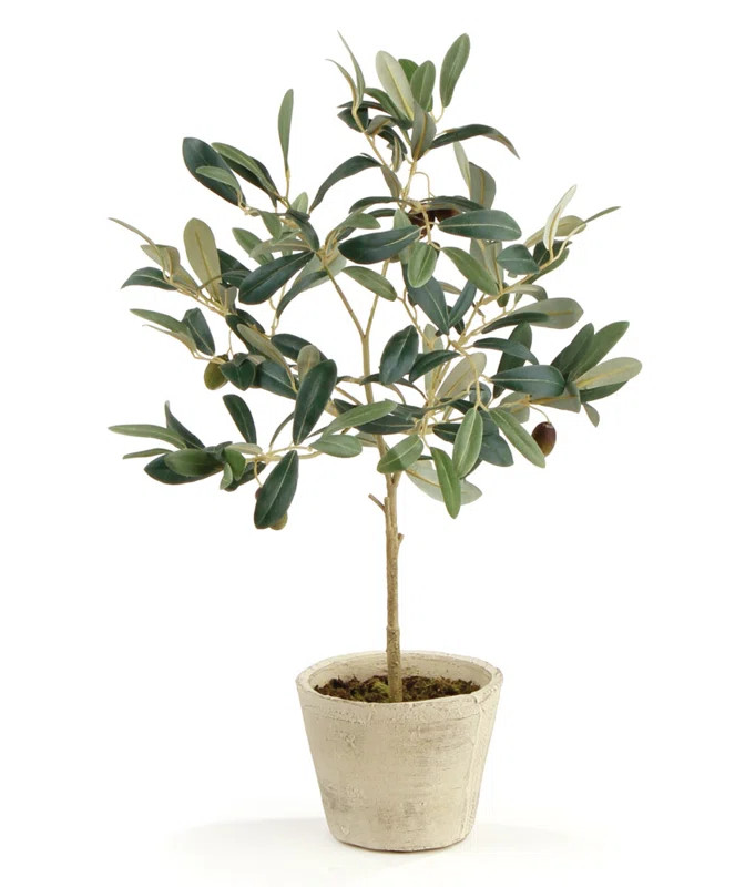 19.5'' Faux Foliage Tree in Ceramic Pot | Wayfair North America