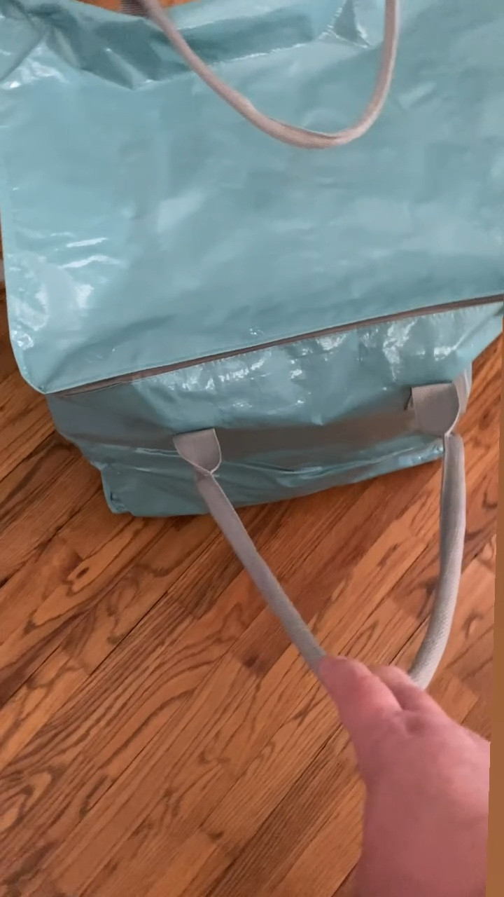 Rolling bag, storage bag, target bag, travel bag, hulken dupe, bag with wheels

#LTKItBag #LTKFindsUnder50

#LTKTravel