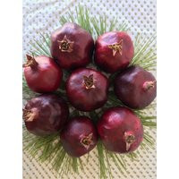 Large Dried Pomegranates. Enhanced. Size 3""-3.5 | Etsy (US)