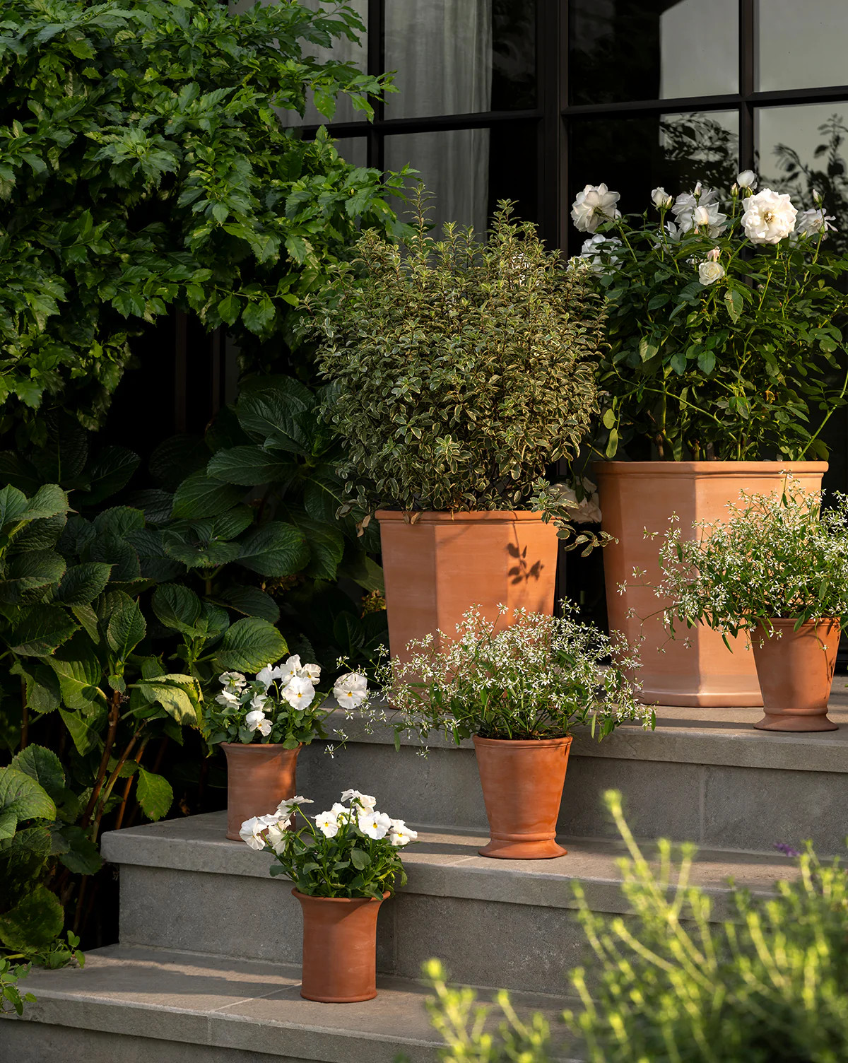 Lorenzo Terracotta Pot | McGee & Co. (US)