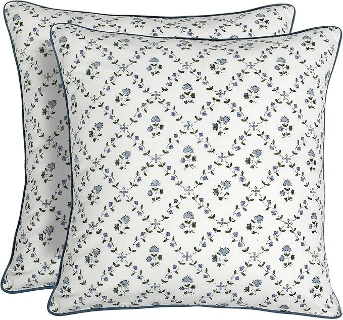 Ridhi Powder Blue Block Print Preppy Grandmillennial Pillow Cover Set of 2-24" x 24" Throw Pillow... | Amazon (US)