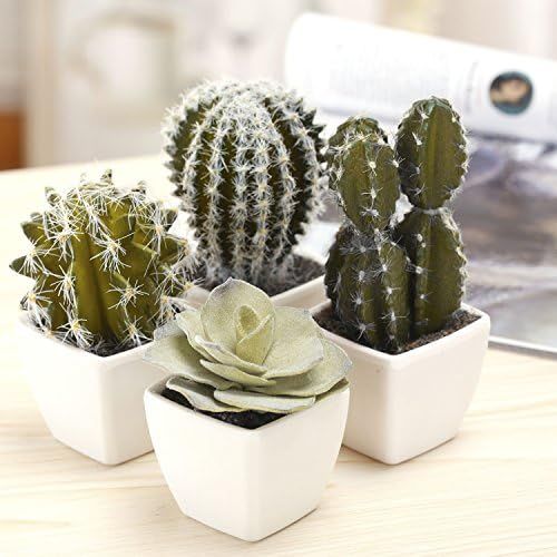 MyGift 5-Inch Mini Assorted Artificial Cactus Plants, Faux Cacti Assortment in Square White Pots,... | Amazon (US)