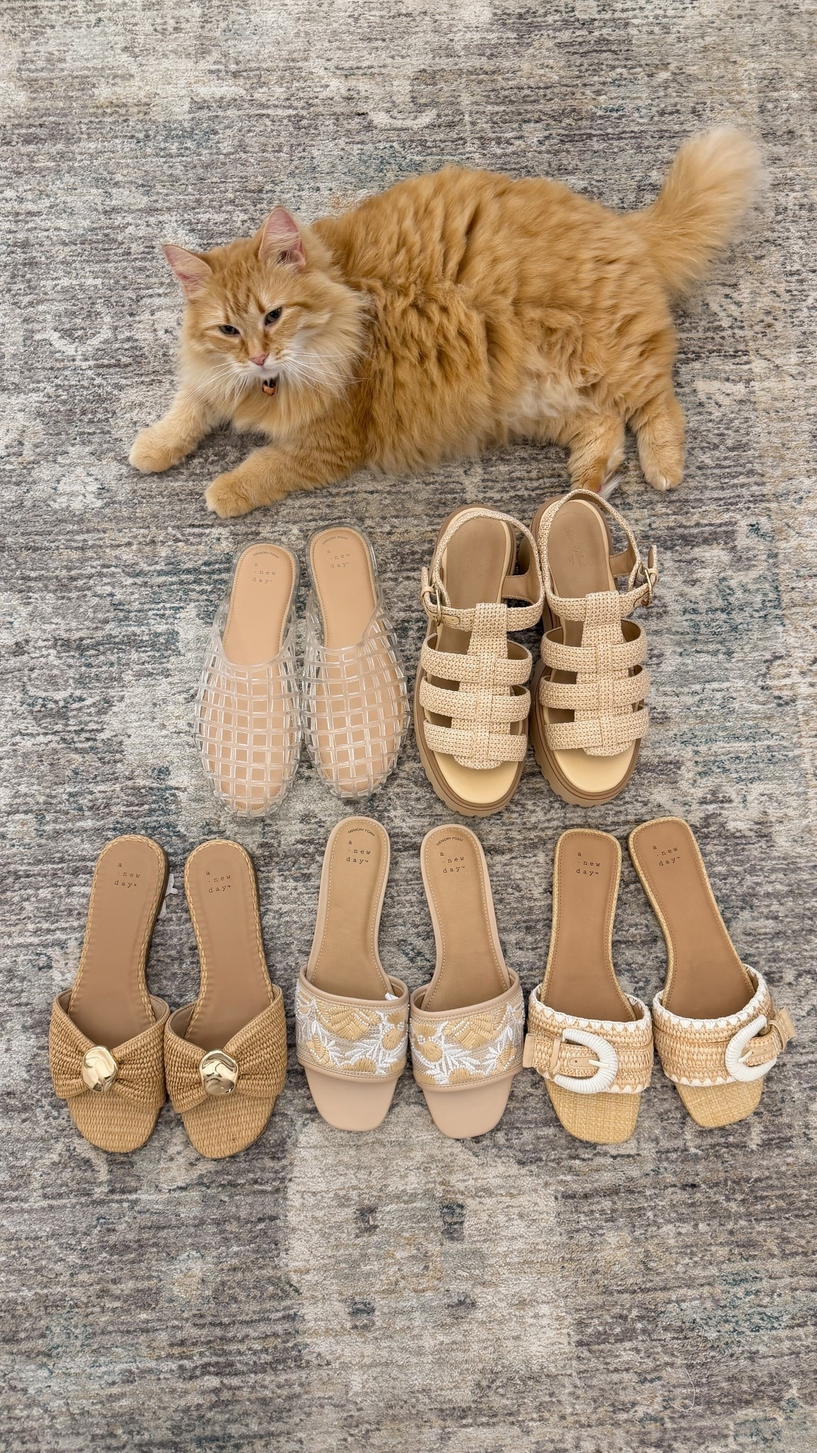 Tilly approved Target shoe finds! 

#LTKTarget #LTKSpring #LTKShoes