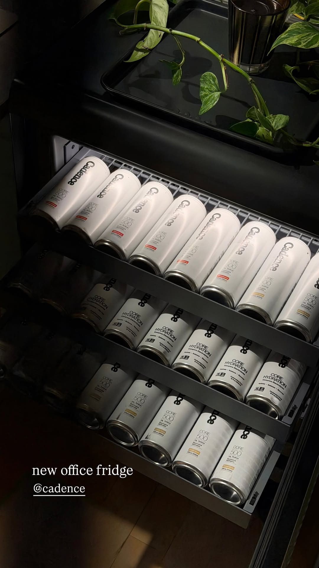   

 #LTKfoodie #LTKSeasonal #LTKActive