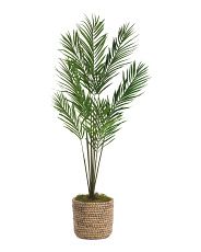 5ft Areca Palm In Woven Basket | Marshalls