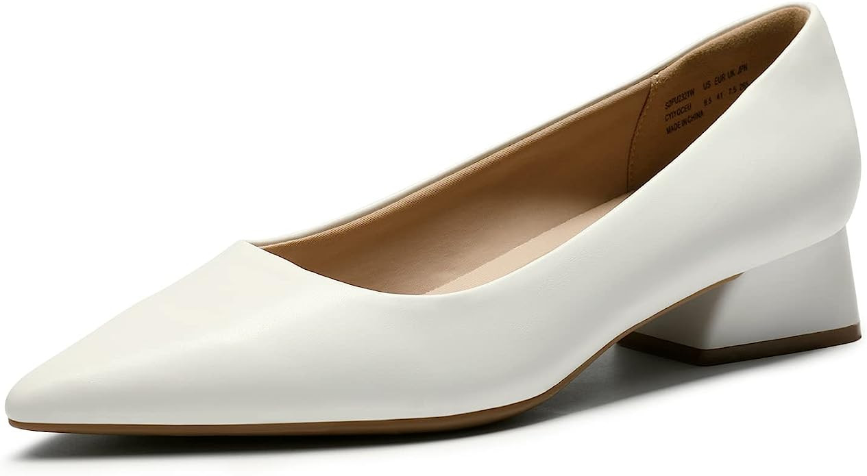 DREAM PAIRS Women's Chunky Heels Closed Toe Low Block Work Shoes Pointed Toe Dress Comfortable We... | Amazon (US)