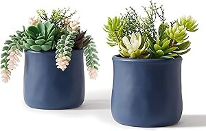 ASTRIDIA Artificial Succulent in Ceramic Pots, 2 Packs Large Faux Fake Plants Navy Blue for Desk,... | Amazon (US)
