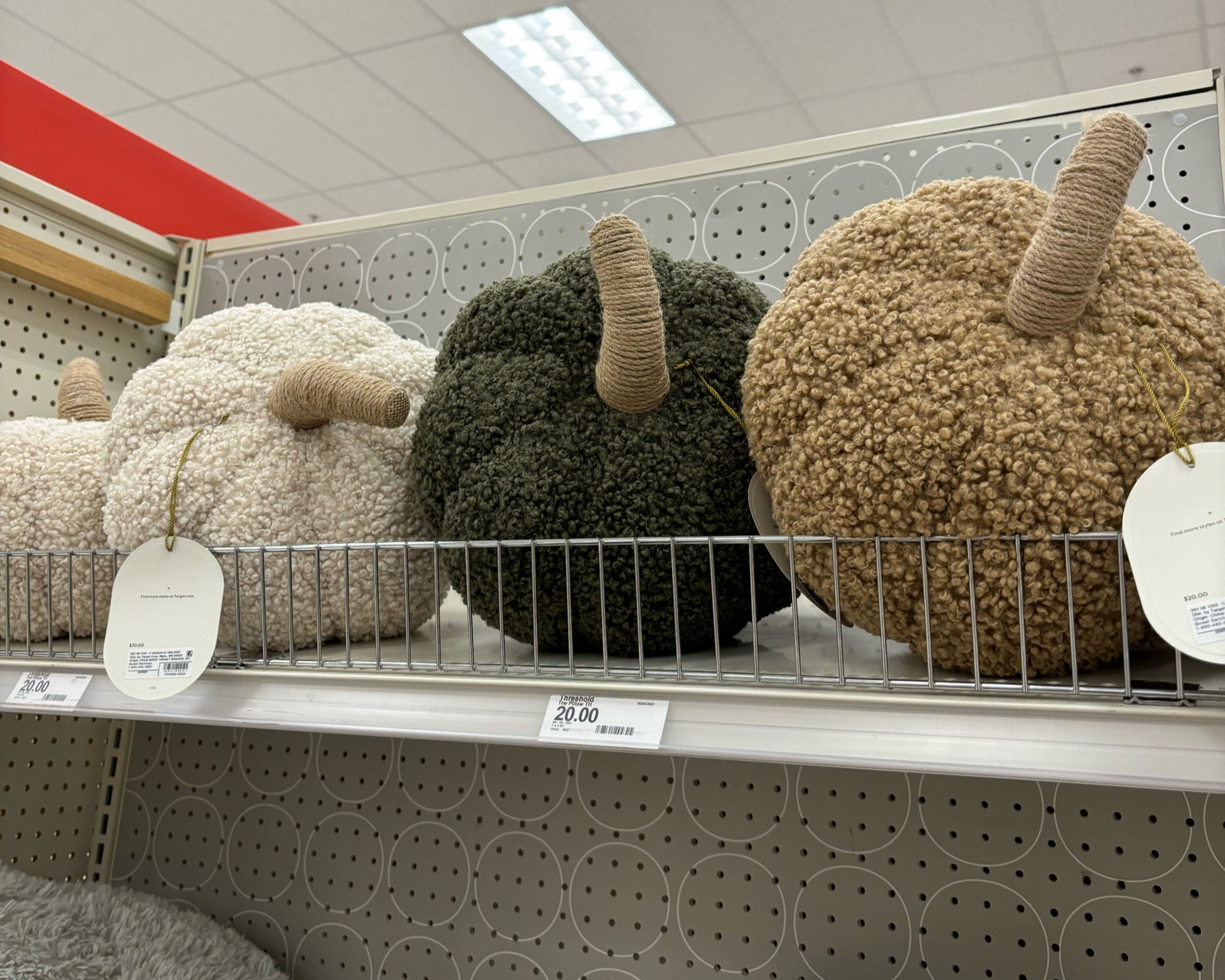 Pottery barn look alike for less $20!🤎 

#potterybarnlookforless #lookforless #targethome #targethrowpillows #targetfalldecor #falldecor #fallpillows #pumpkinpillows 

#LTKSeasonal #LTKFallSale #LTKHome