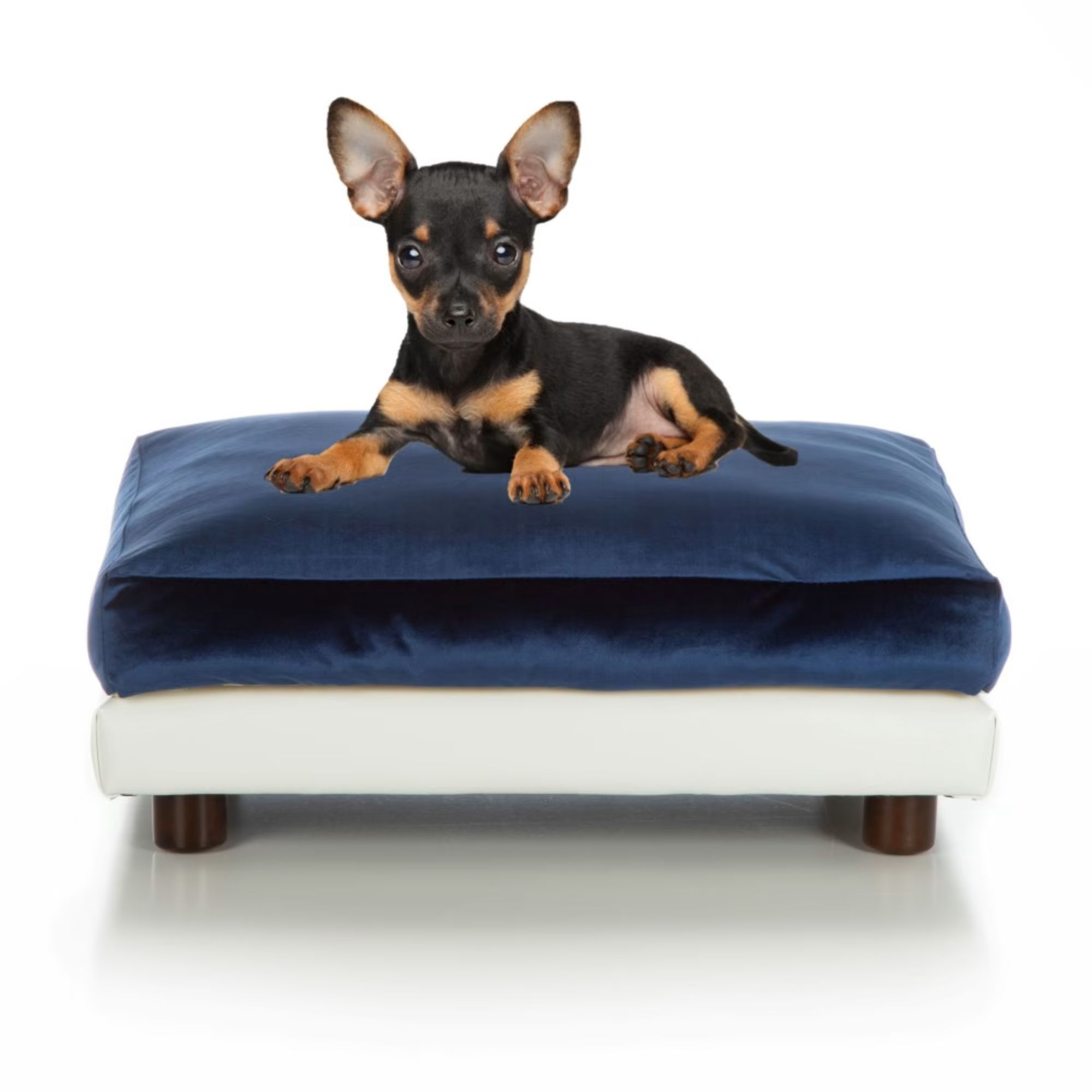 Club Nine Pets Navy Milo Orthopedic Dog Bed, 24" L X 34" W | Petco
