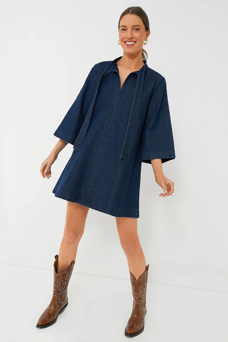 Denim Marsella Dress | Tuckernuck (US)