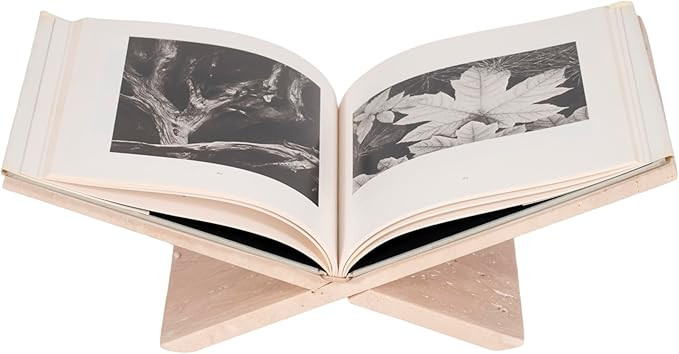 Sagebrook Home Stone Bookstand | Amazon (US)