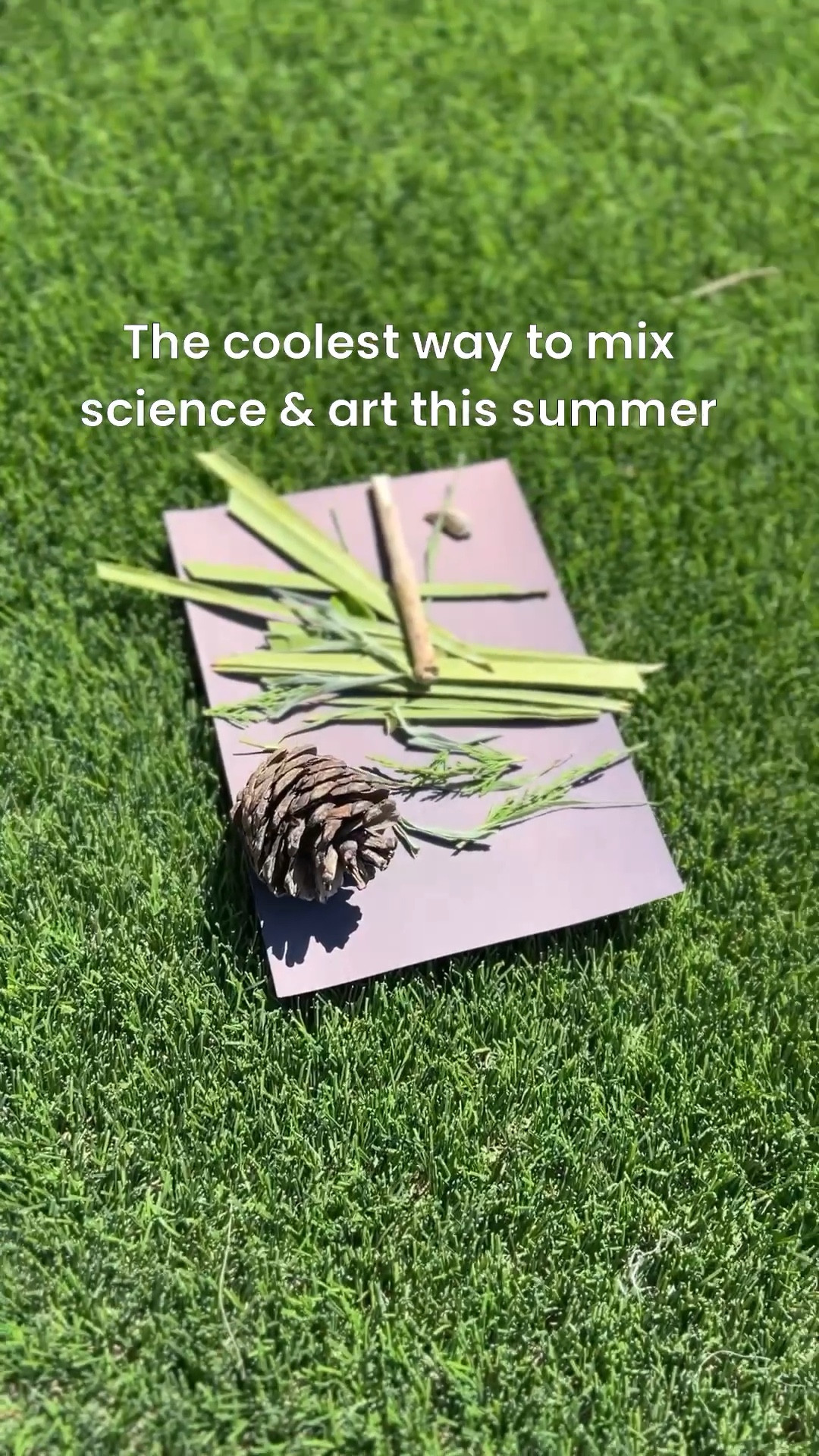 Here’s your sign to try Sun prints this summer!

#LTKSeasonal #LTKKids #LTKFamily