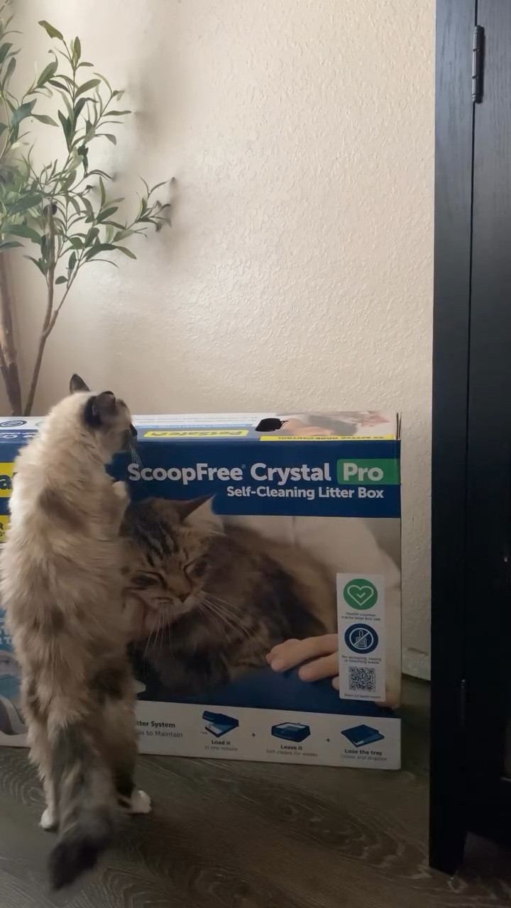 Our litter box is on sale! 

#LTKHome #LTKPets #LTKSaleAlert