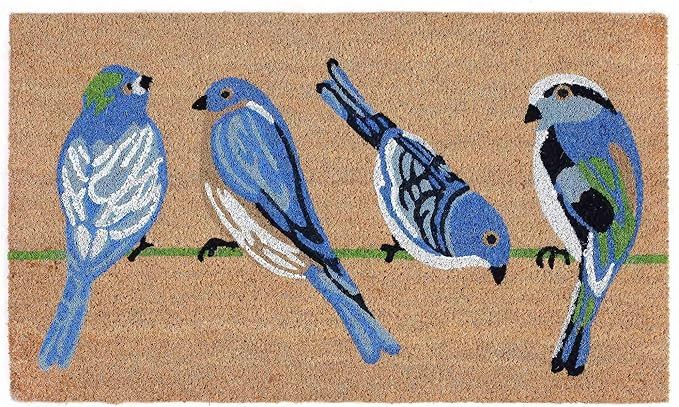 Liora Manne NTR12206112 Natura Summer Blue Birds Natural Outdoor Welcome Coir Door Mat, 1'6" x 2'... | Amazon (US)