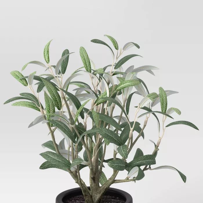 Artificial Medium Olive Plant in Ceramic Pot - Threshold™ | Target