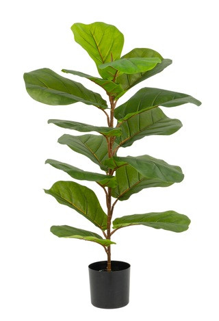 Naturae Décor 35-in Natural Looking Artificial Indoor/Outdoor Fiddle Leaf Plant in Black Pot | Canadian Tire
