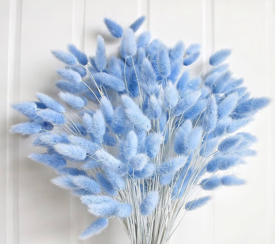 120 PCS Blue Dried Pampas Grass Decor, 17-inch Pompas Floral, Dry Flowers for Decoration, Pampas ... | Amazon (US)