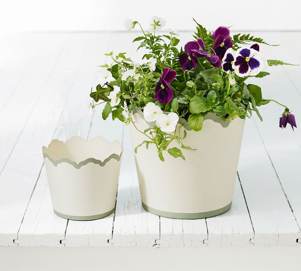 Julia Berolzheimer Lily Scalloped Metal Tole Planters | Pottery Barn (US)