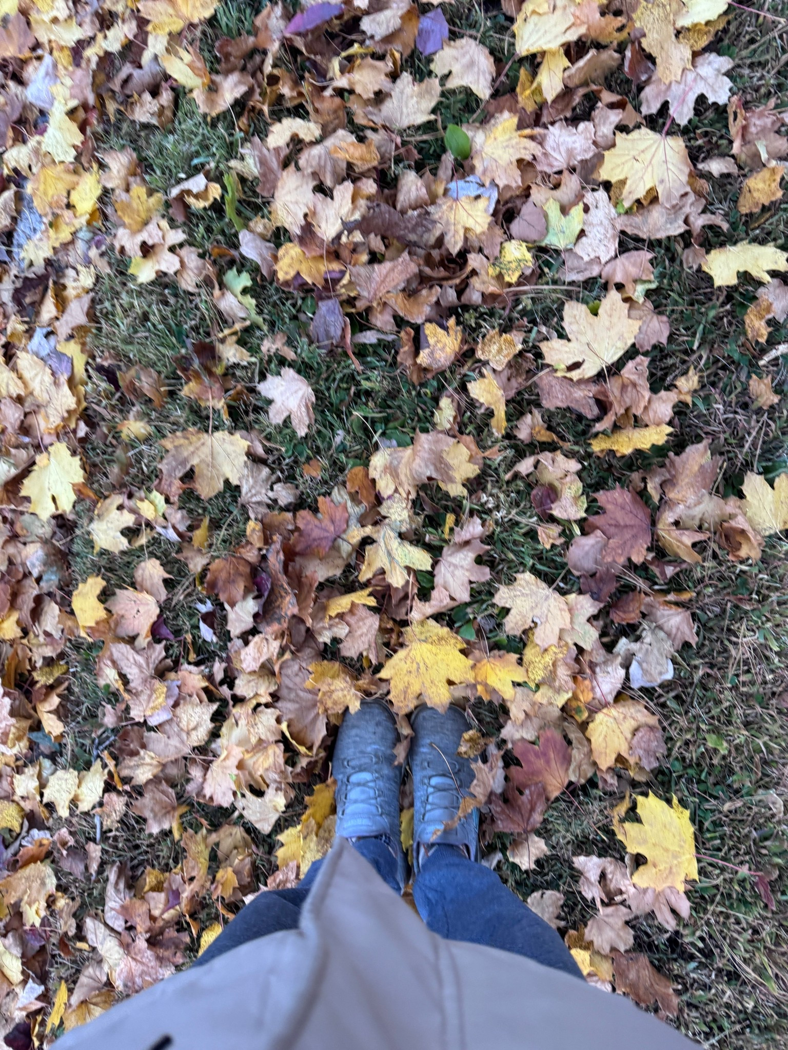 Sneakers so so comfortable - Skechers 

#feetcare #comfortable #shoes #wowmenshealthy #skechers #sneakers 

#LTKShoeCrush #LTKGiftGuide #LTKTravel