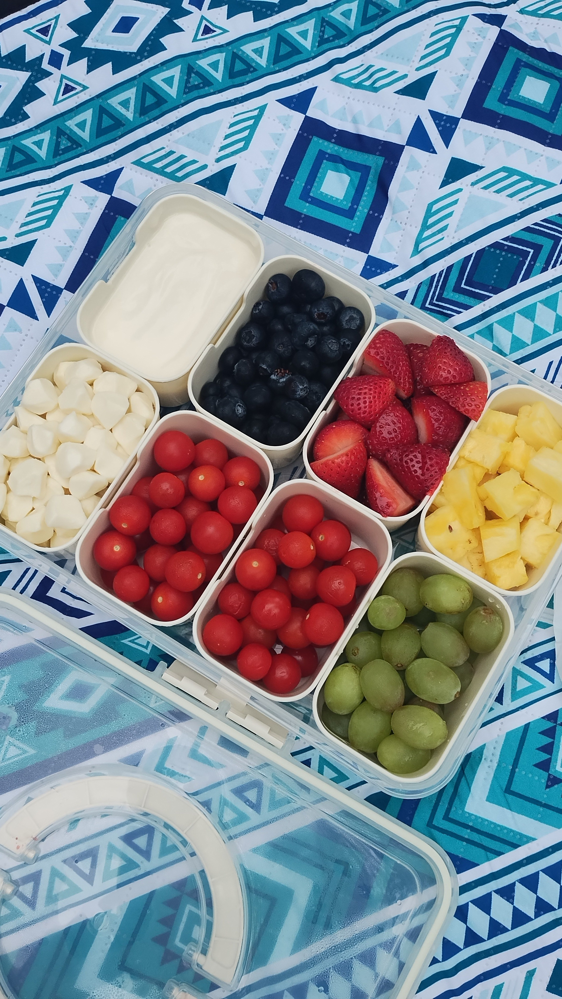A couple of picnic essentials that really make the experience enjoyable. This oversized picnic blanket is waterproof, lightweight and foldable making it easy to carry and store. I'm also enjoying the convenience of this snack box. It has removable compartments perfect for storing fruits, veggies, meats, cheese, and dips. The whole box is super easy to clean too!

#LTKfoodie #LTKSeasonal #LTKdayinmylife