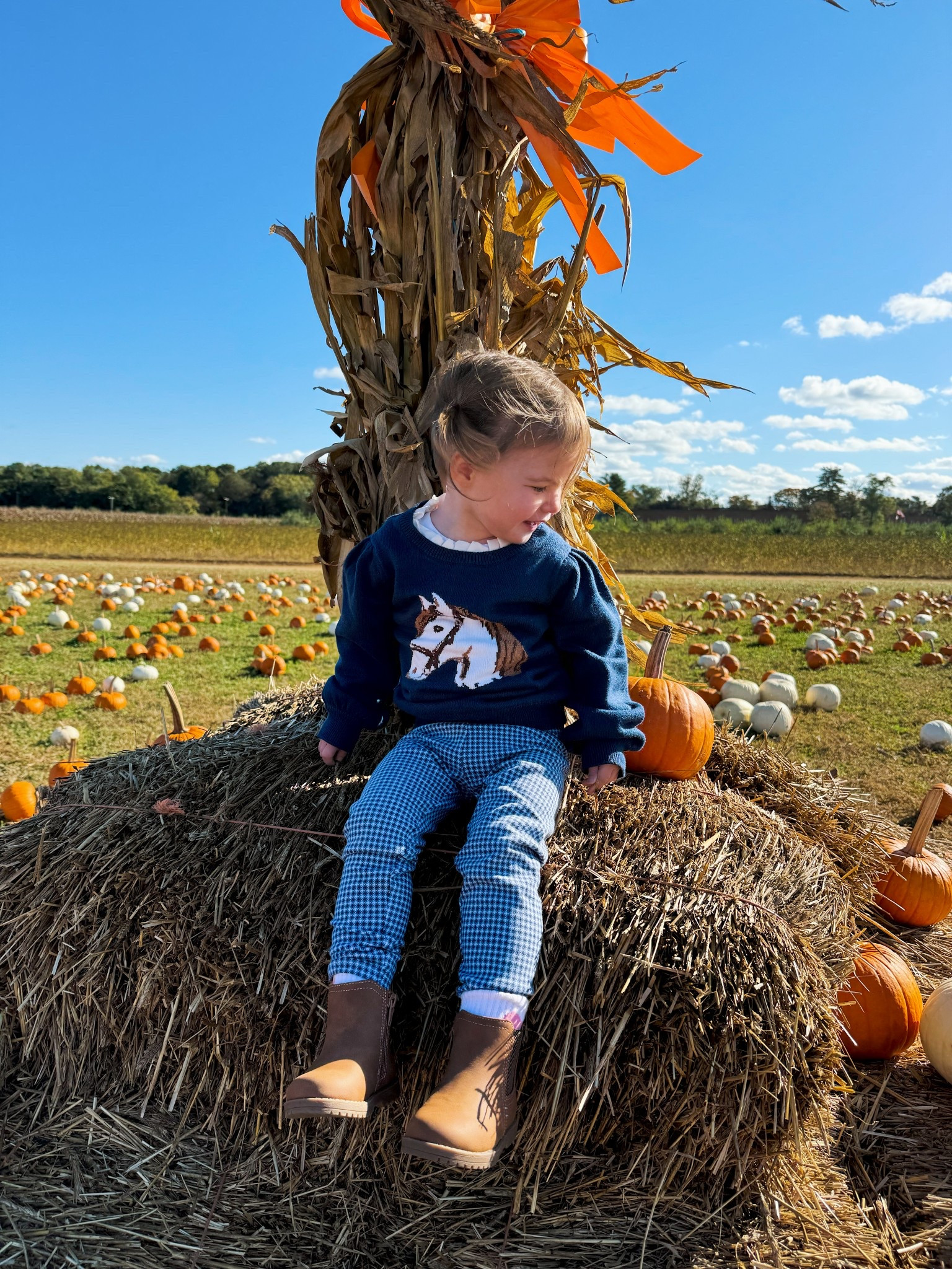 Horse girl fall: toddler edition 🐴🍁

#LTKHalloween #LTKSeasonal #LTKKids