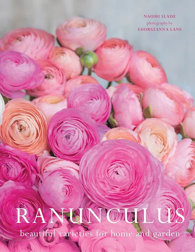 Ranunculus: Beautiful Varieties for Home and Garden | Amazon (US)