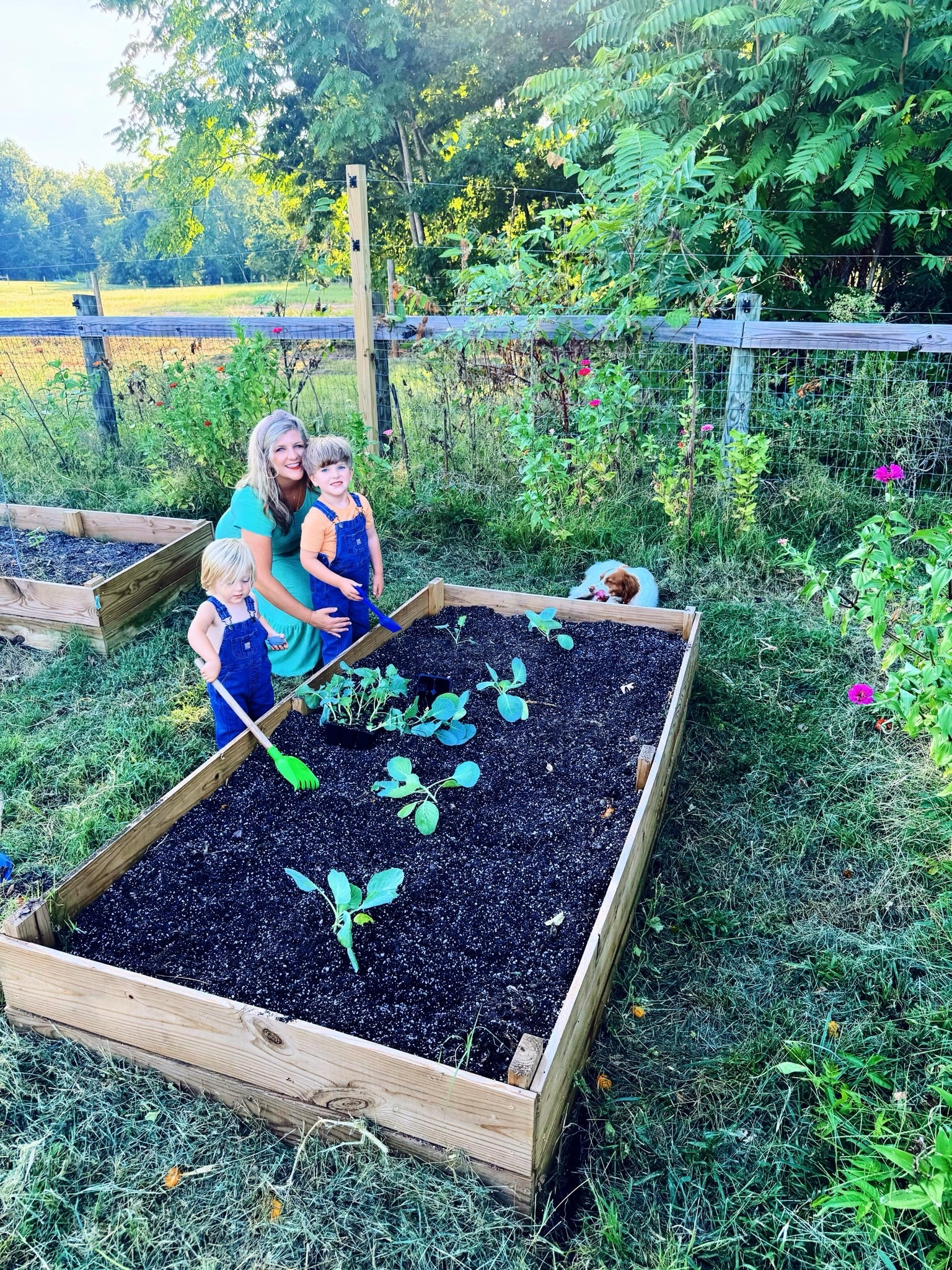 c a m e r a  r o l l 🎞️ from the sweetest lil’ september weekend 🌼🤠🌞🎈🍂 around the farm 🌾 planting 🪏 our fall 🥦🥬 garden 🪴, picking all the homegrown flowers 💐, birthday party 🥳 fun 🤩 for some sweet littles 🎈, backyard baseball ⚾️ at sunset 🌅, pumpkin 🎃 coffee ☕️ and cake pops 🧁, sunday drives 🛻 in the country 🐄, and a backyard cookout 🍔🌭 with friends!! 🫶🏽 Our hearts are full!! ❤️ #weekendcameraroll #thisweekend #weekendfun #sweetseptember #weekendmemories
