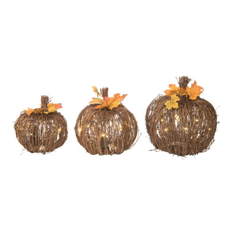 3 Piece Fall/Harvest Light Up Pumpkins Set | Wayfair North America