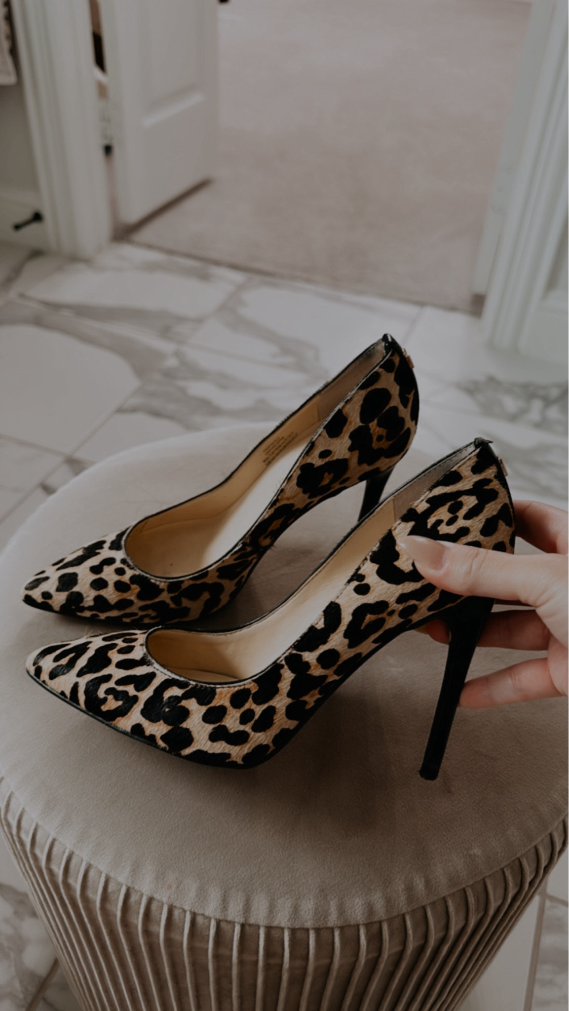 Leopard heels on sale! I’ve had these for years and so glad I never got rid of them. Fashion always repeats itself. Found two styles on good sales this weekend.

#LTKFindsUnder100 #LTKShoeCrush #LTKSeasonal