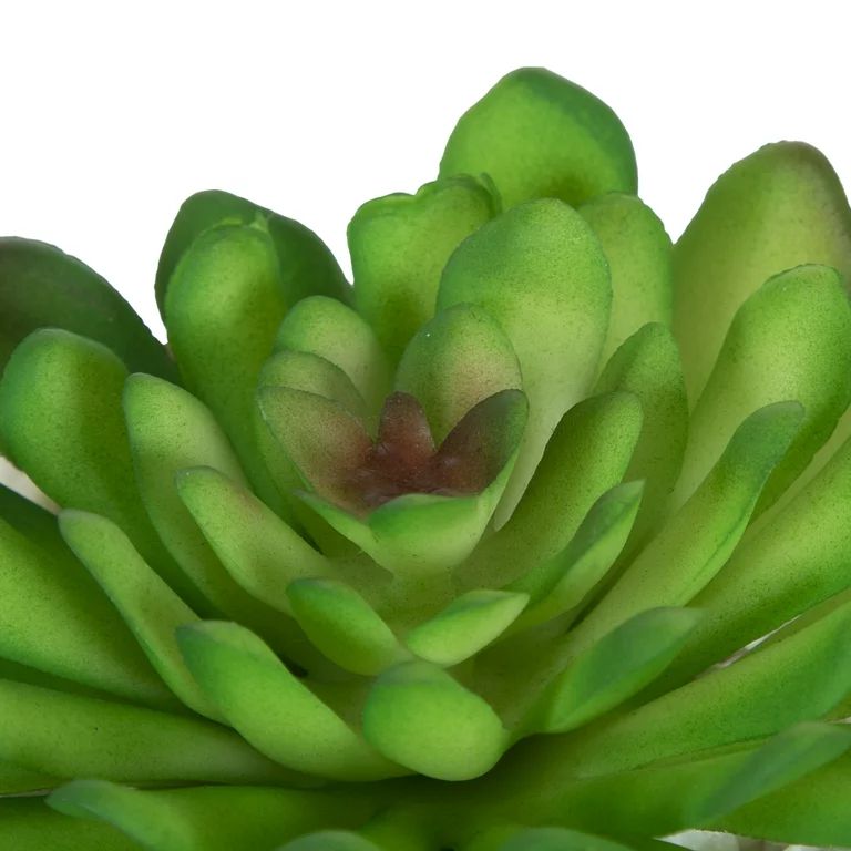 Mainstays 3.9" Artificial Crassula Ovata Succulent Plant in Multi-Color Ceramic Pot | Walmart (US)