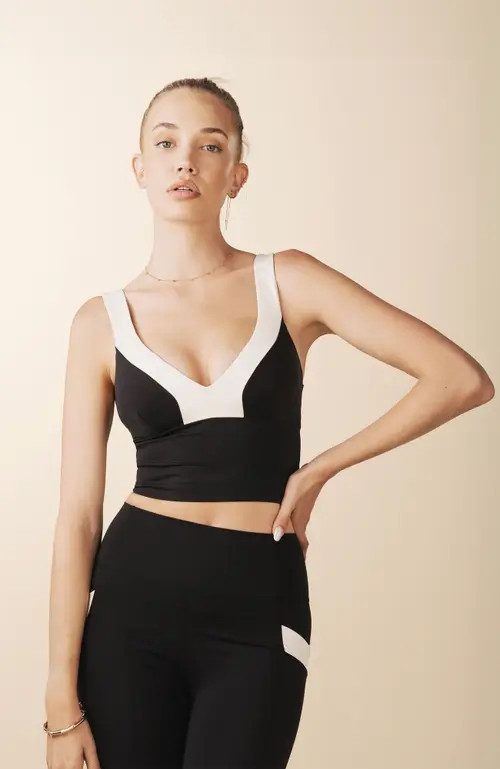 Losano Showstopper Sculpted Bra in Black /Dune at Nordstrom, Size Small | Nordstrom