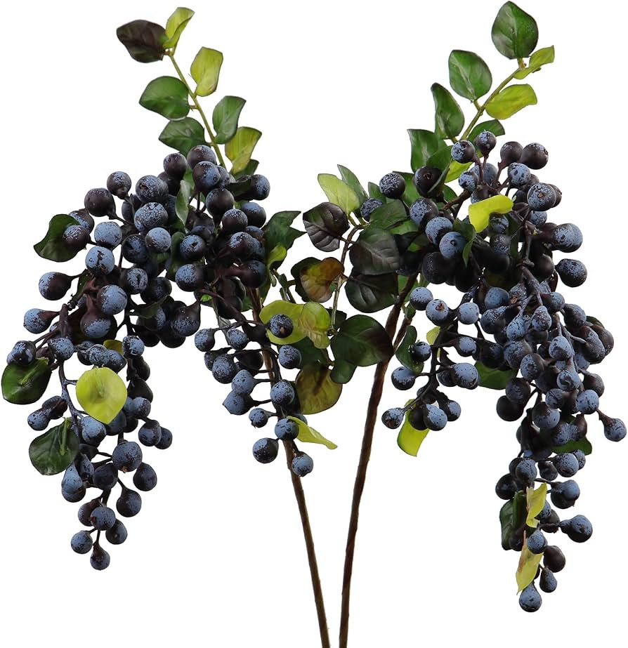 Rinlong 2Pcs Artificial Blueberries Fake Berries Stems Hanging Spray Frosted Blueberry Fall Flora... | Amazon (CA)