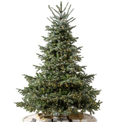 Balsam Hill 7.5' Clear LED European Full Fir Tree | Target