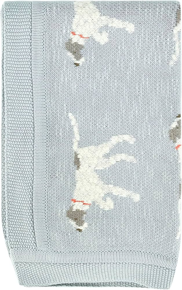 Creative Co-Op DF2527 40" L x 32" W Cotton Knit Baby Dog Blanket, Blue, Small | Amazon (US)