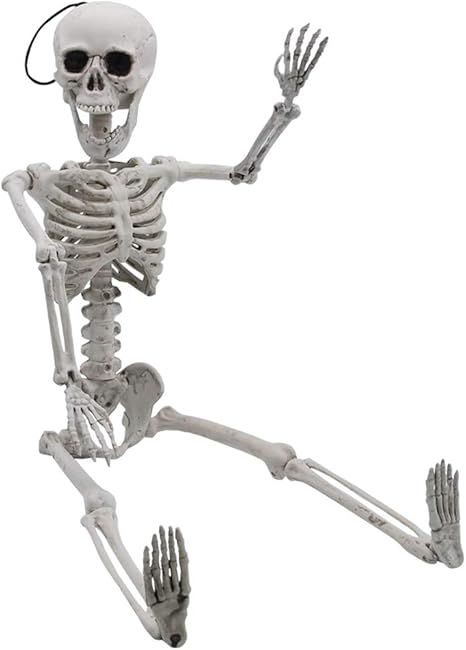 Halloween Decoration 24” Pose-N-Stay Full Body Skeleton Plastic Bone with Posable Joints for Po... | Amazon (US)