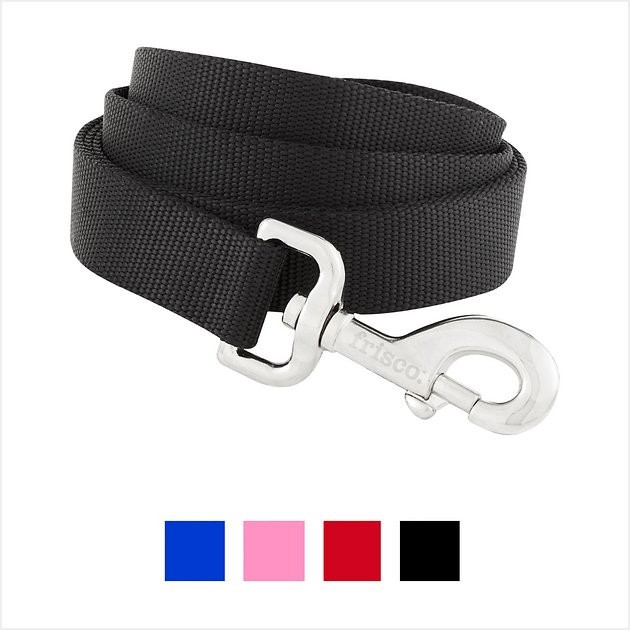 Frisco Solid Nylon Dog Leash | Chewy.com