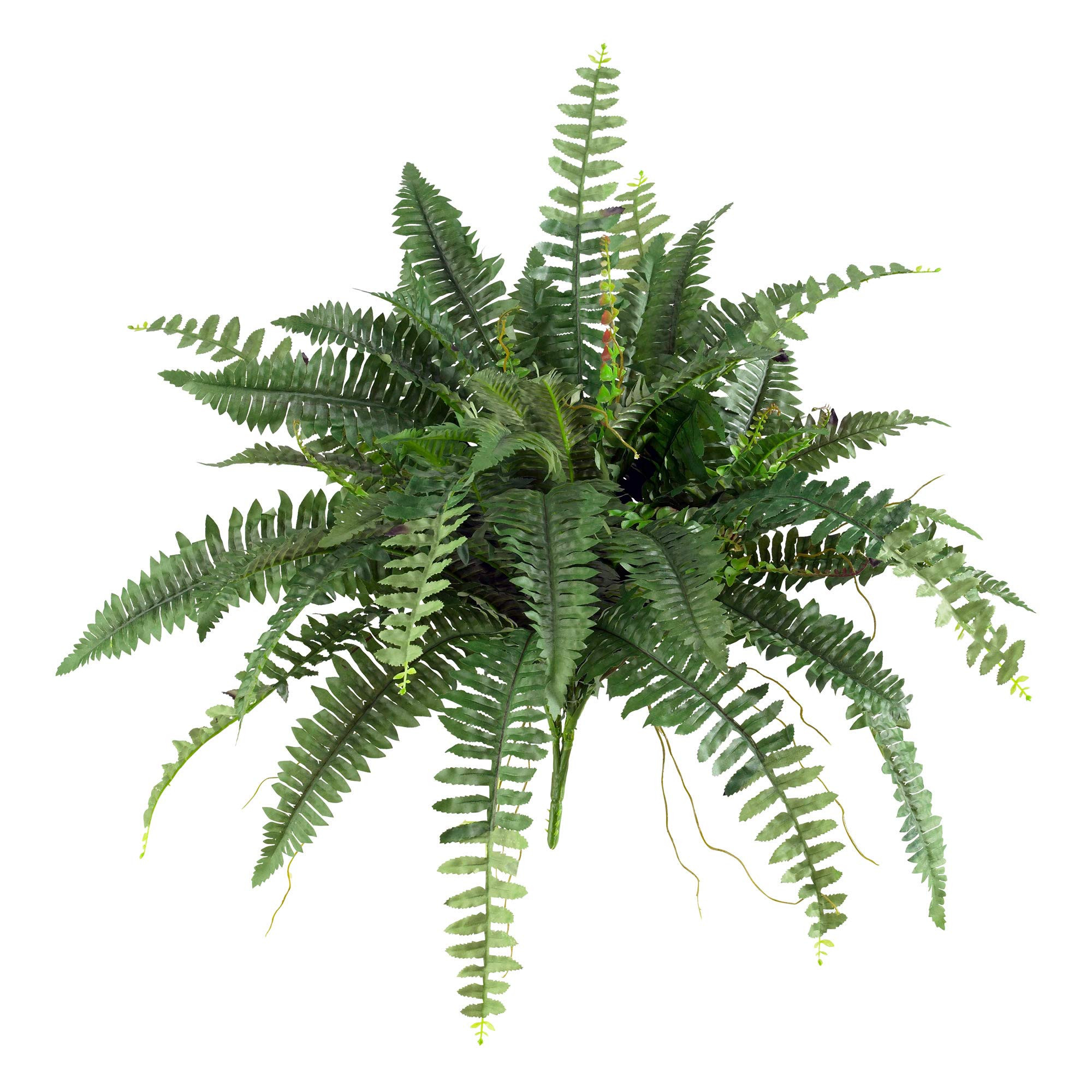 Nearly Natural 40in. Boston Fern (Set of 2), Green | Amazon (US)