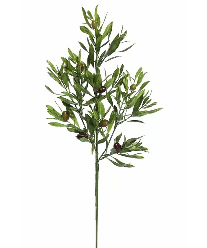 Olive Leaf Spray Fruit Tree | Wayfair North America
