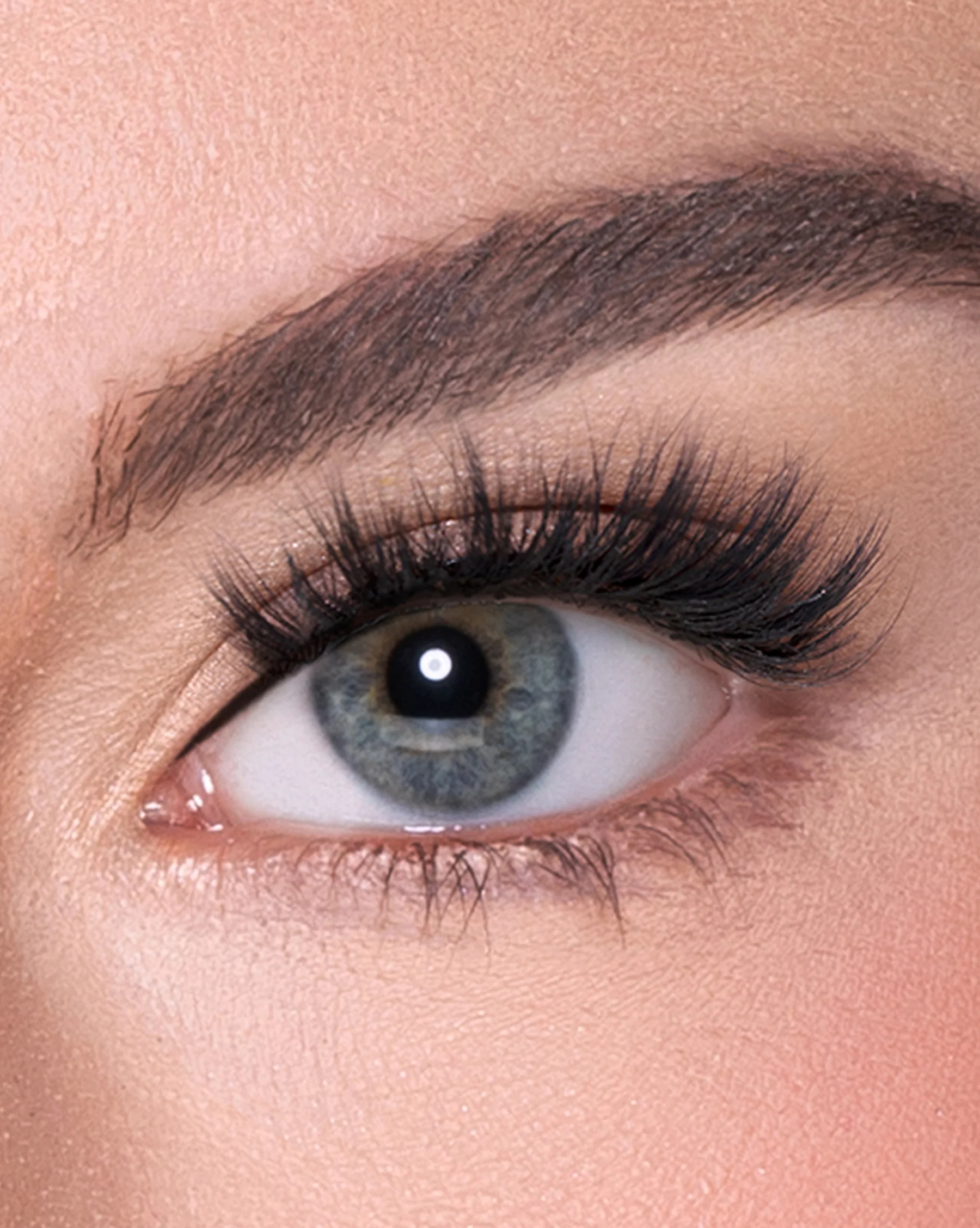 Everyday Miami | Lilly Lashes
