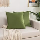 Elegant Comfort Pack of 2, Velvet Soft Solid Decorative Square Throw Pillow Covers Set Cushion Case  | Amazon (US)