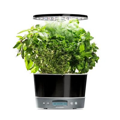 AeroGarden Harvest Elite 360 Platinum | Wayfair North America
